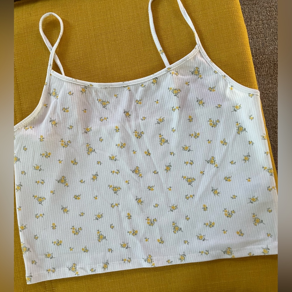 American Eagle Cropped Tank Top